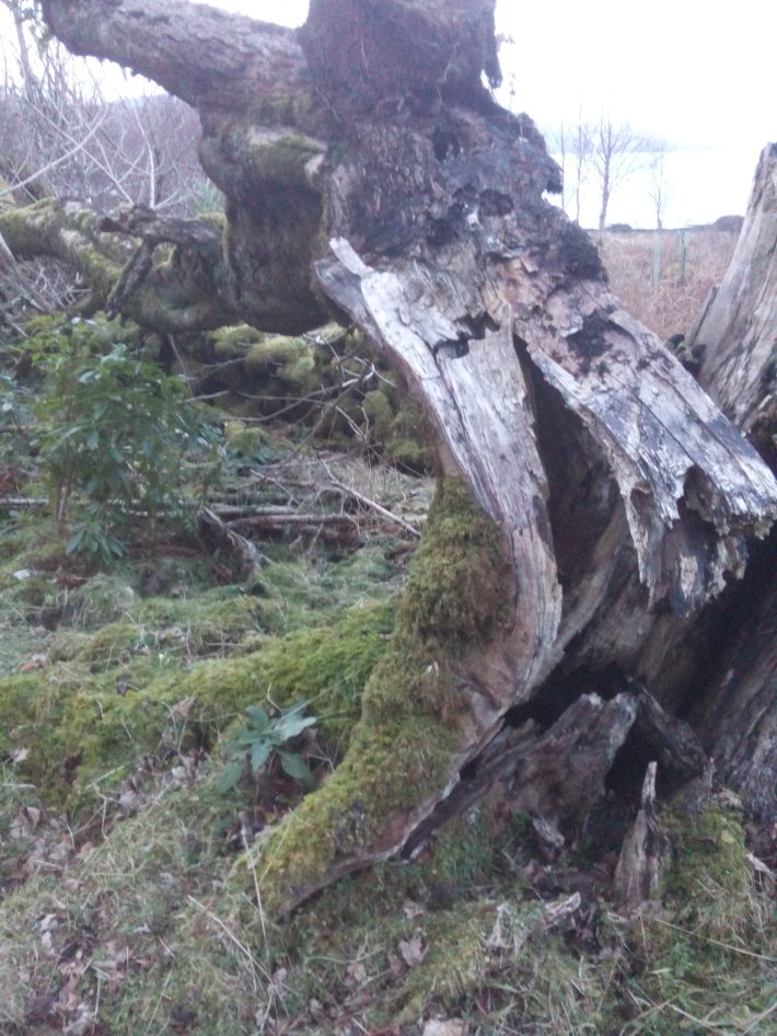 duart castle ash storm damage