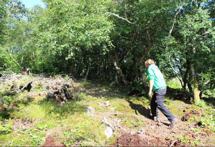 screeenshot-ferry-wood-coc2016