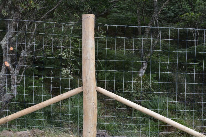 fence showing strainer