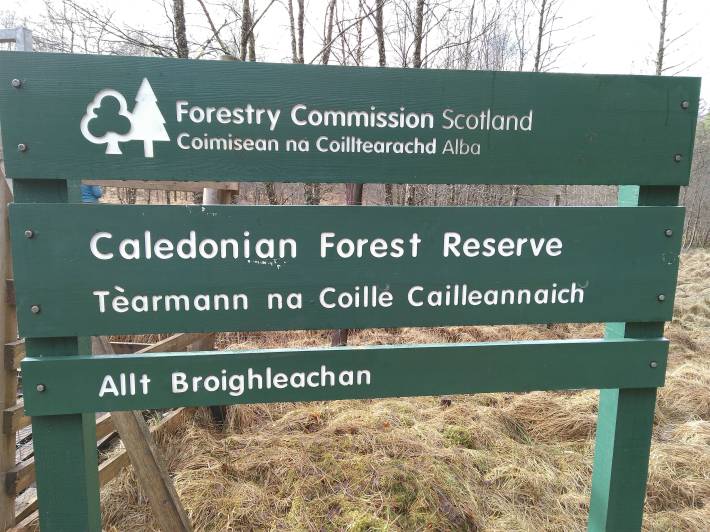 glen orchy cfr